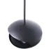 Xaralyn Shape66.jpg
