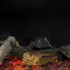 MagniFire_Flow_brander_zonder_vuur_met_sfeerverlichting-07062019162017.jpg