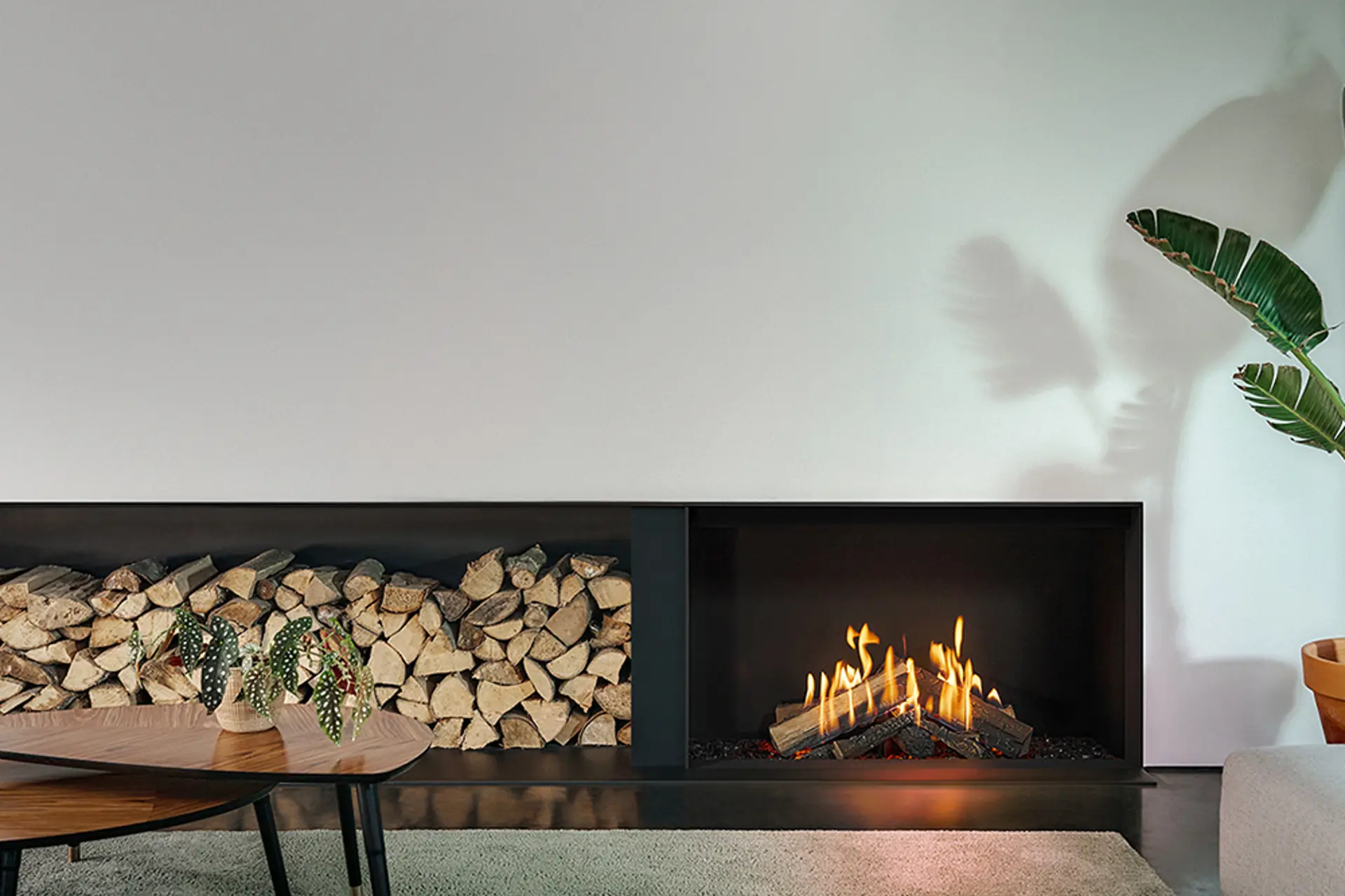F3_Gas-Fire-Front-110-60-kader-HD+.jpg